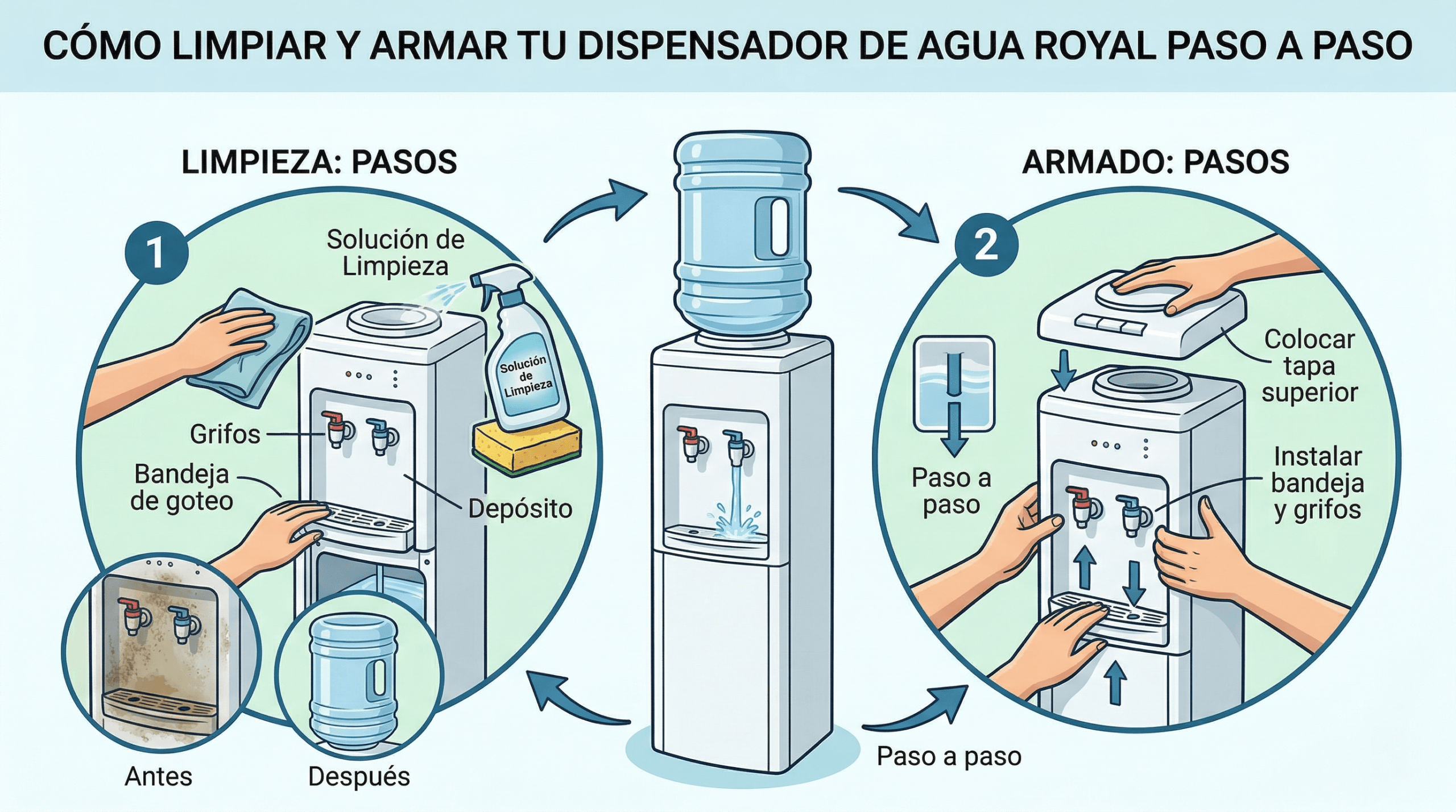 Limpiar dispensador de agua Royal paso a paso